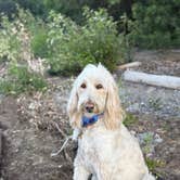 Review photo of Viento State Park Campground by Vanessa C., July 9, 2026