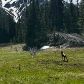Review photo of Wallowa Lake State Park Campground by Katie G., June 2, 2025