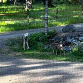 Review photo of Wallowa Lake State Park Campground by Katie G., June 2, 2025