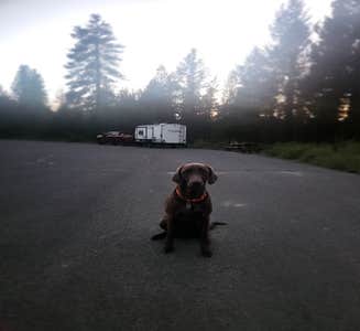 Camper-submitted photo from Walt Haring Sno-Park & Campground