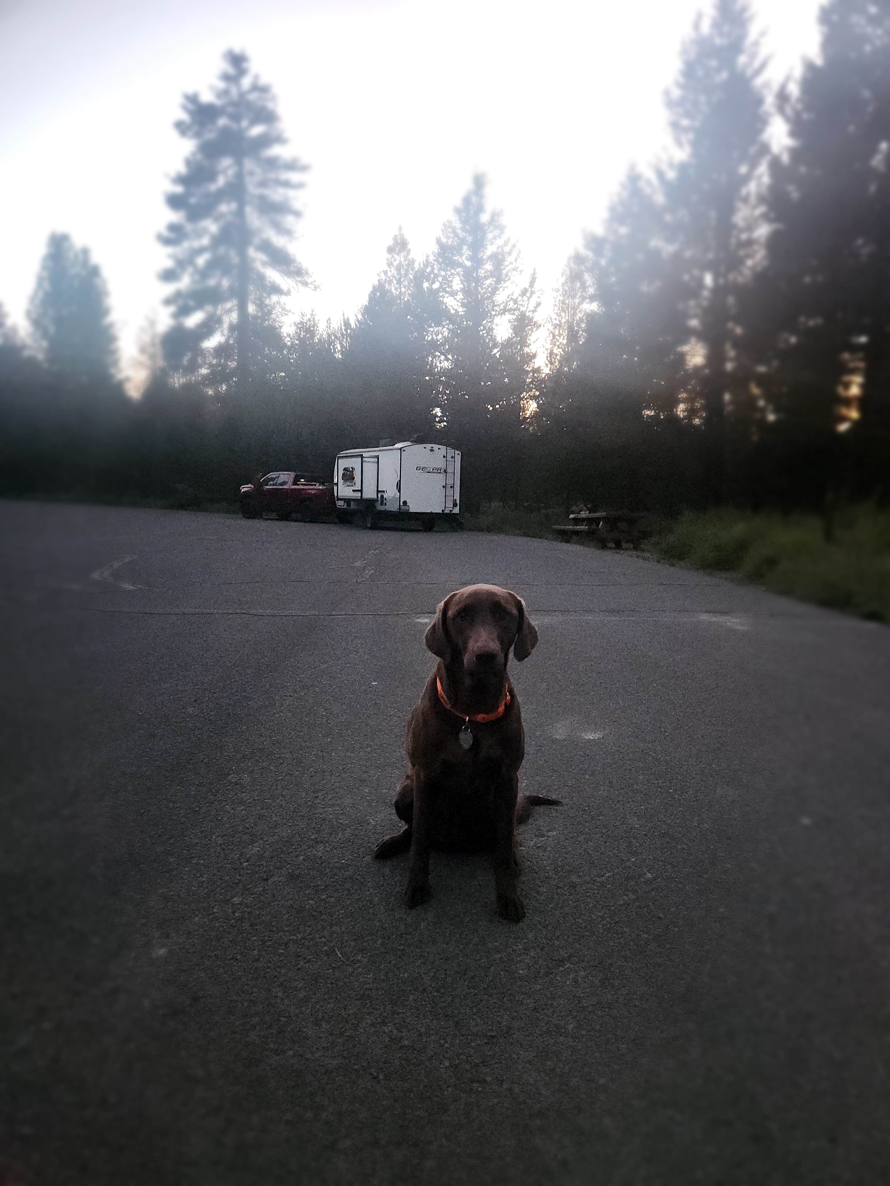 Camper submitted image from Walt Haring Sno-Park & Campground - 4