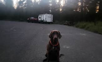 Traci B.'s photo of camping with pets at Walt Haring Sno-Park & Campground near Chemult, OR