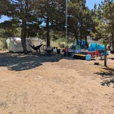 Review photo of Webb County Campground & Park by Aaron T., July 15, 2024