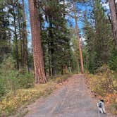 Review photo of Wetmore Campground by Sue R., September 25, 2026