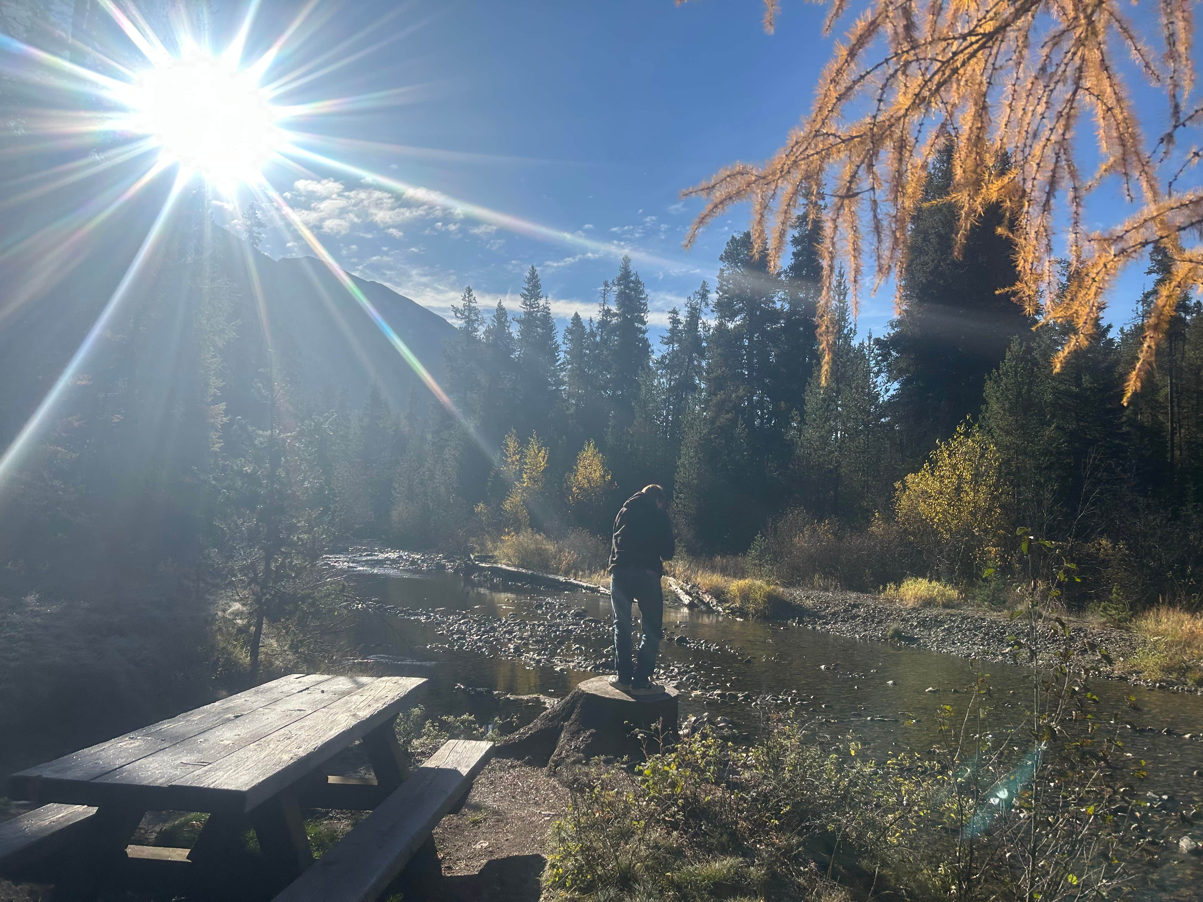 Camper-submitted photo at Williamson Campground near Wallowa Whitman National Forest