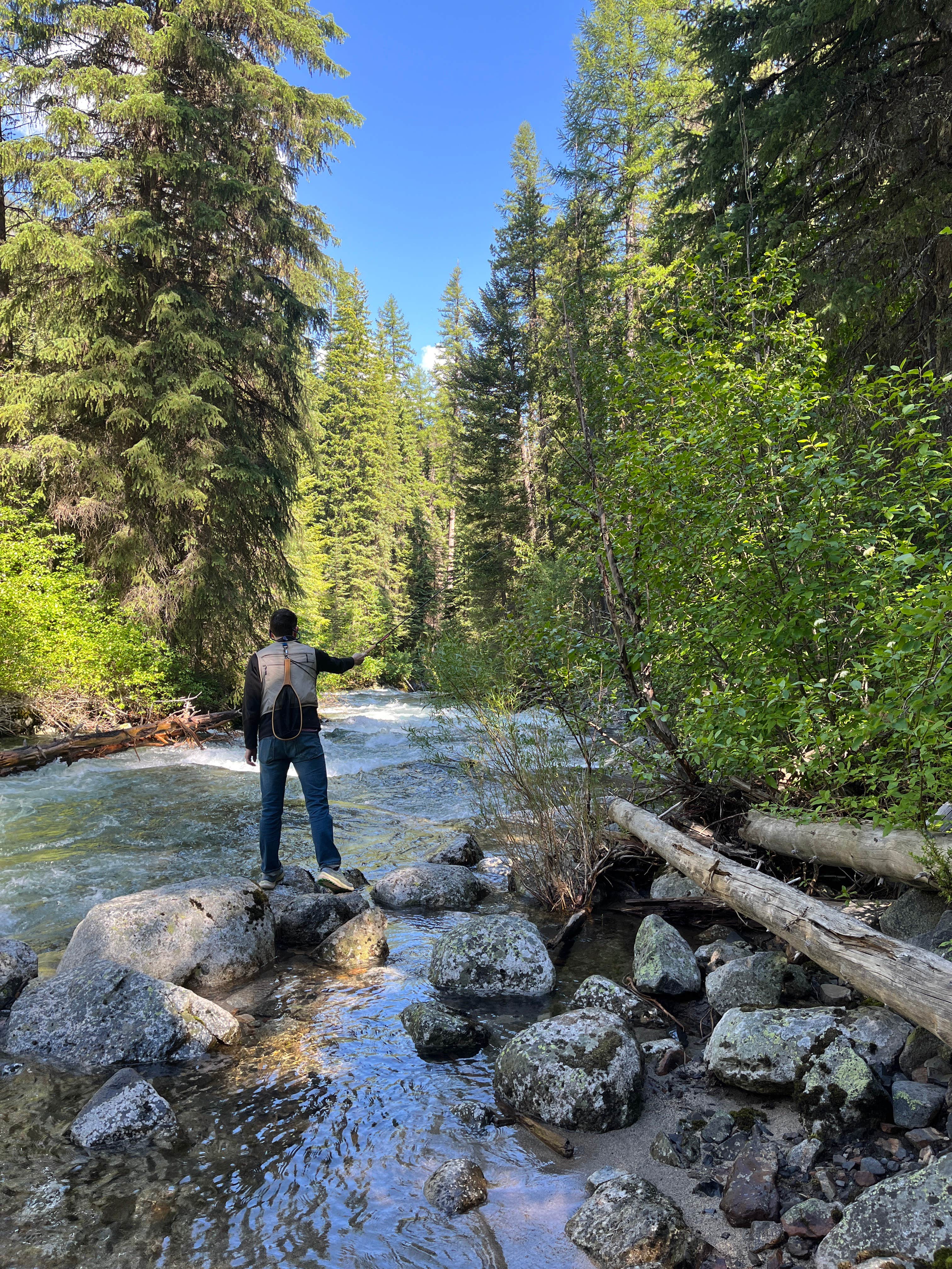 Camping near Hurricane Creek Campground: Williamson Campground, Enterprise, Oregon