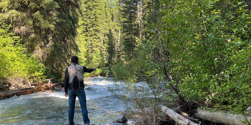 Camper submitted image from Williamson Campground