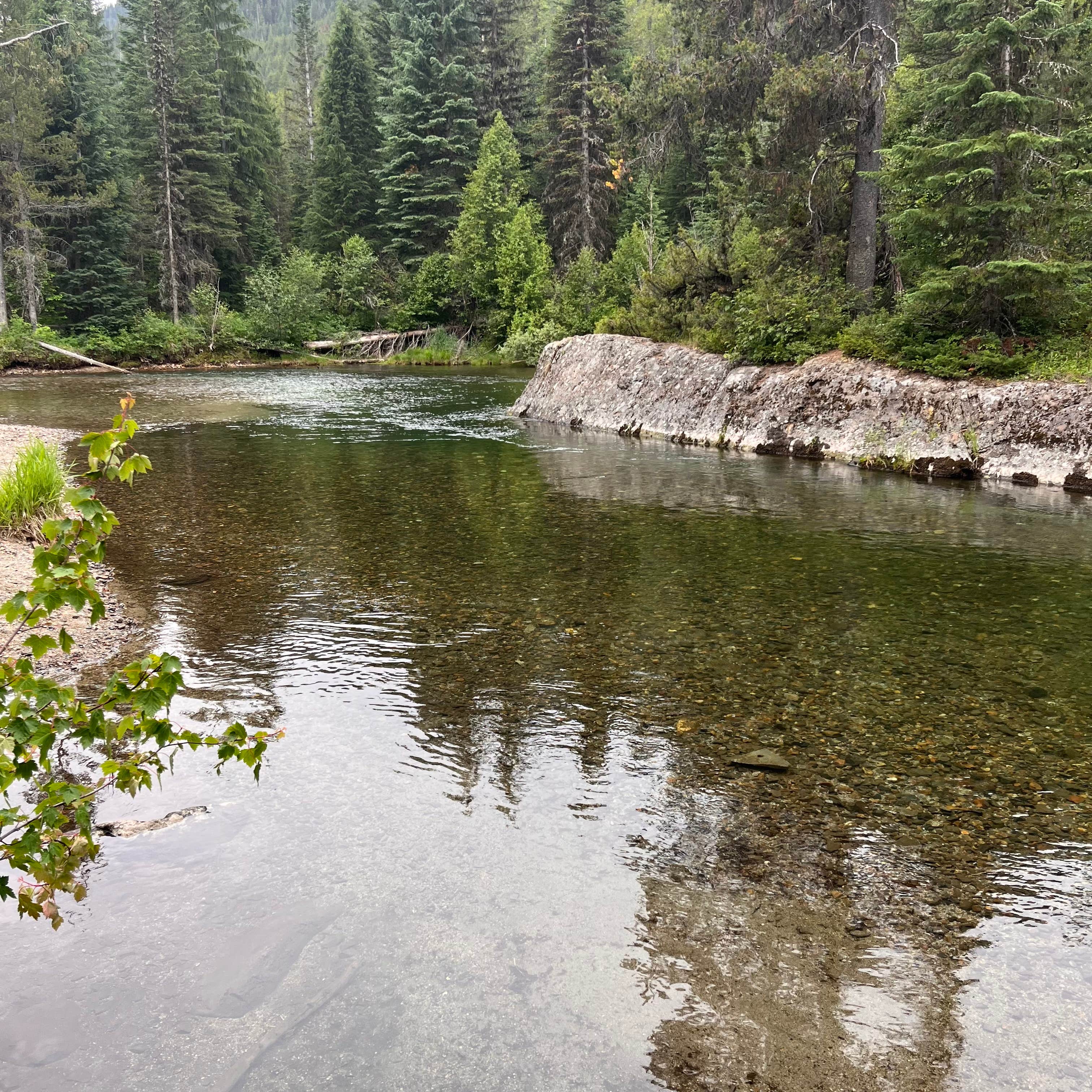 Camper-submitted photo at Williamson Campground near Wallowa Whitman National Forest