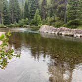Review photo of Williamson Campground by Terry N., July 18, 2026