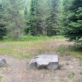 Review photo of Williamson Campground by Terry N., July 18, 2026