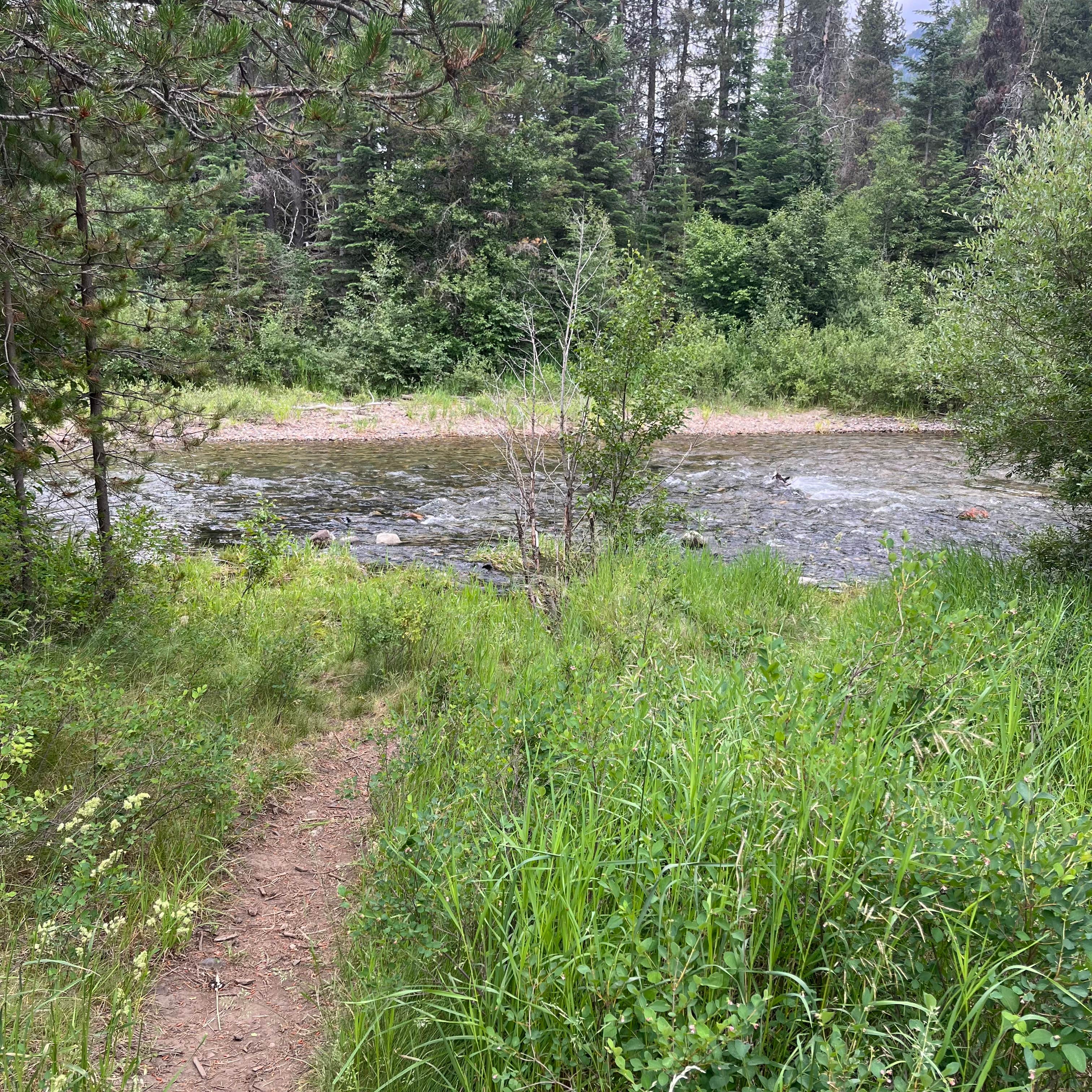 Camper-submitted photo at Williamson Campground near Wallowa Whitman National Forest