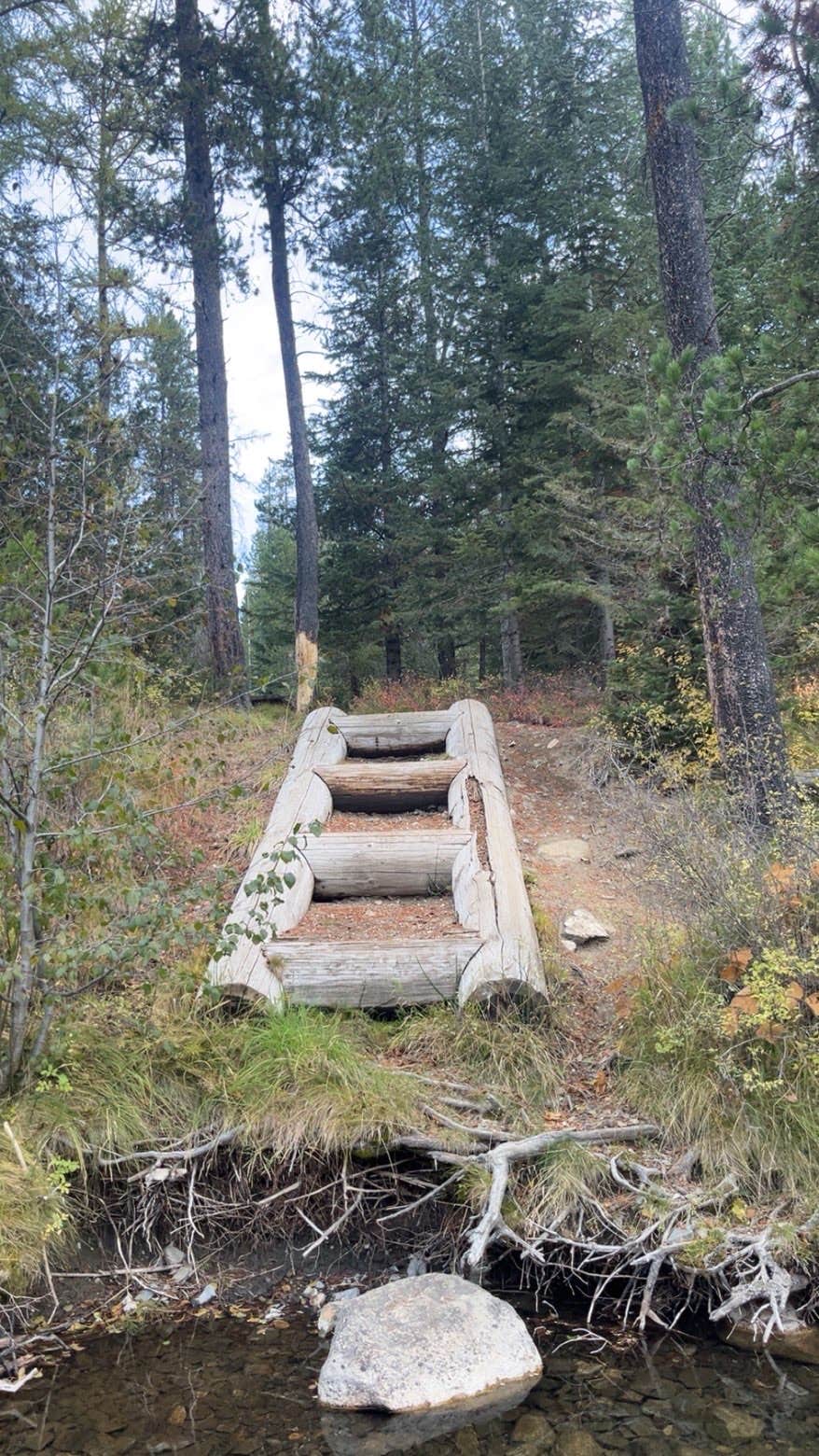 Camper-submitted photo at Williamson Campground near Wallowa Whitman National Forest