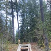 Review photo of Williamson Campground by Zanthia J., July 10, 2026