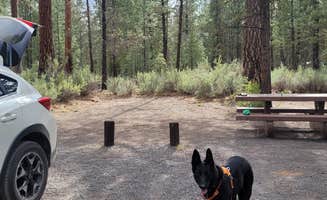 Michelle C.'s photo of camping with pets at Williamson River Campground near Crater Lake National Park