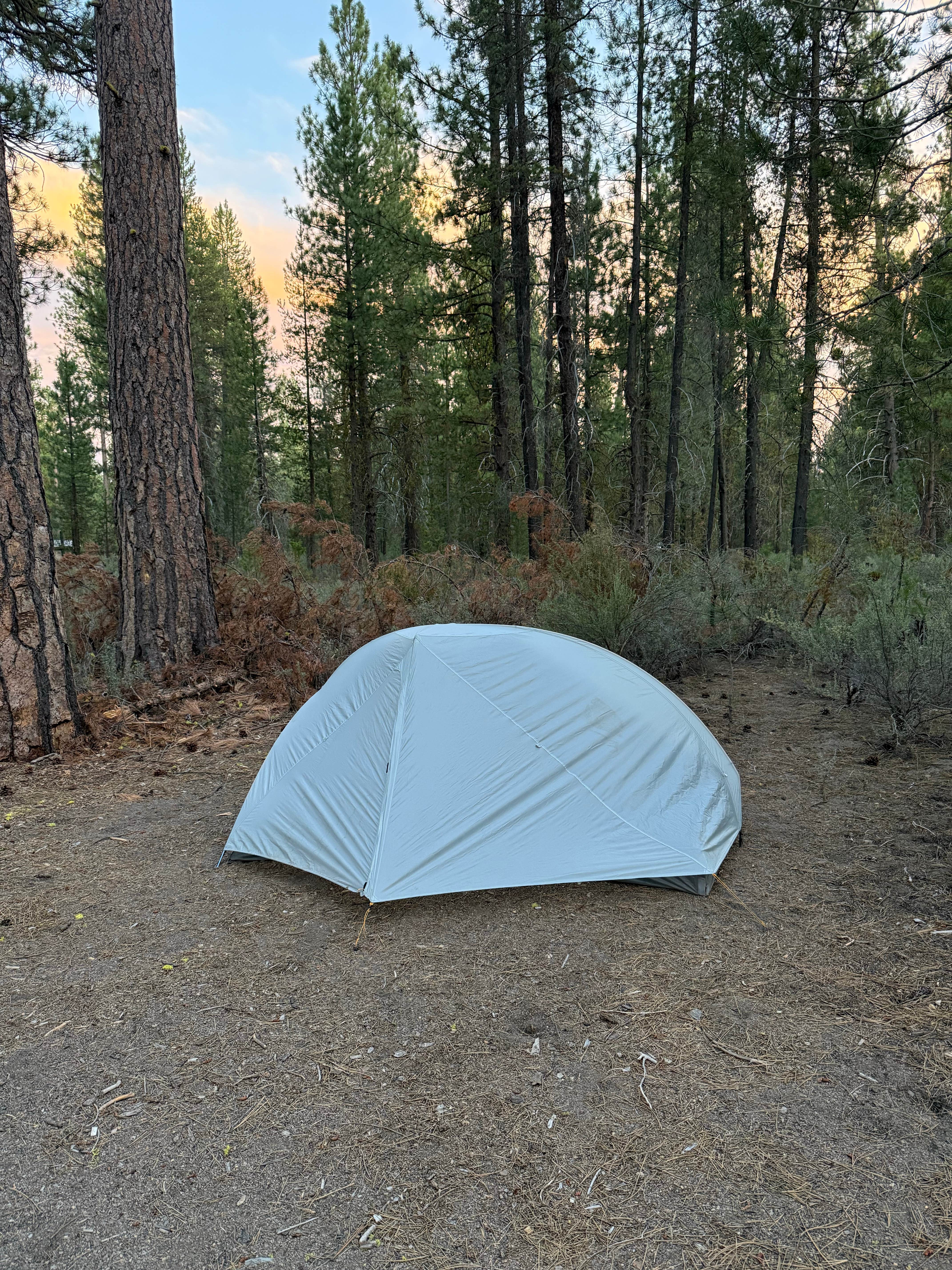 Heather E.'s photo at Williamson River Campground near Fort Klamath, OR
