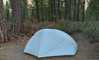 Heather E.'s photo at Williamson River Campground near Fremont-Winema National Forest