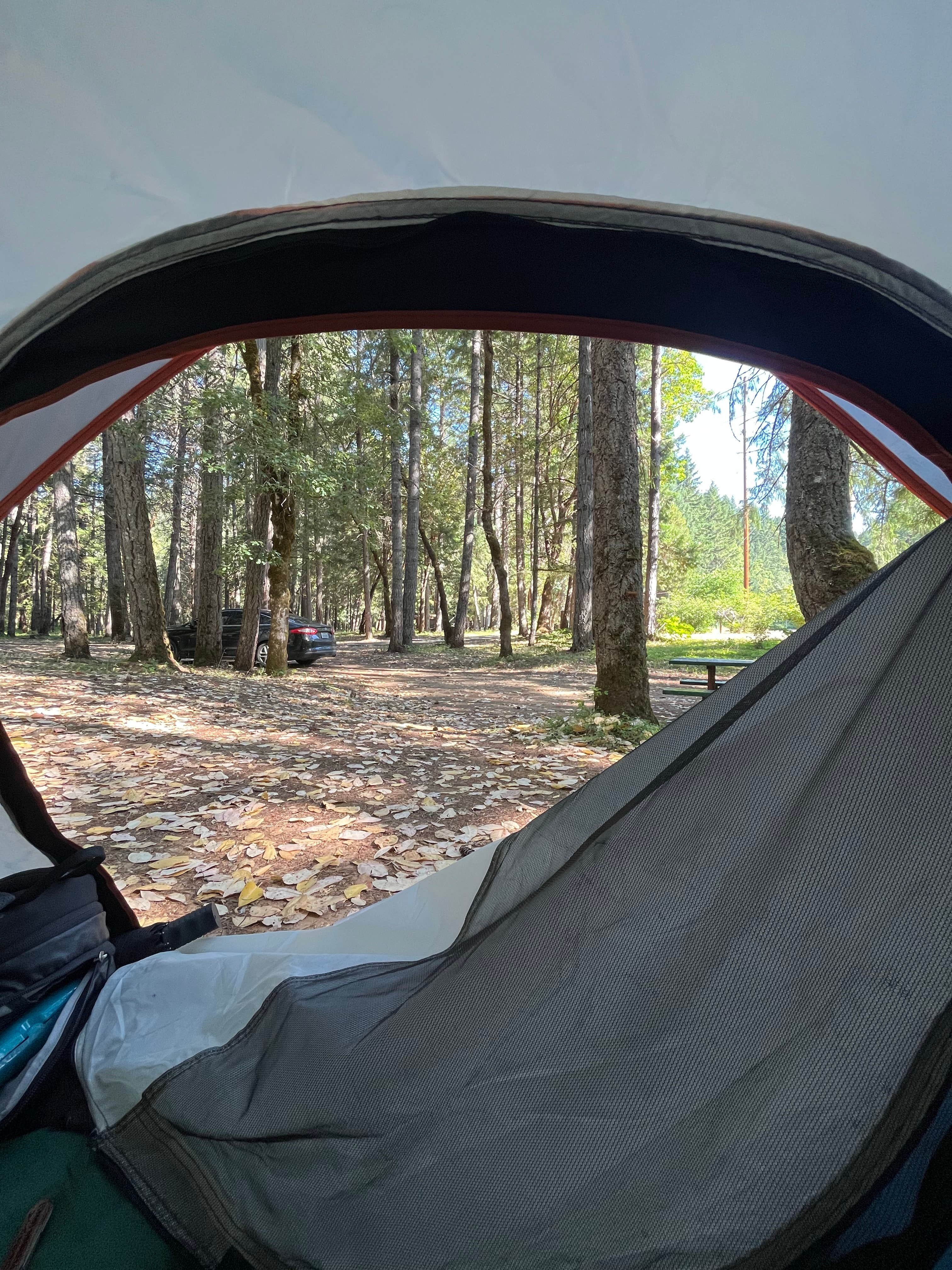 Camper-submitted photo at Wolf Creek Park near Wolf Creek, OR