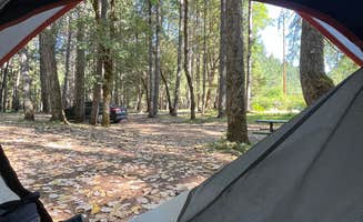 DuBois's photo at Wolf Creek Park near Myrtle Creek, OR
