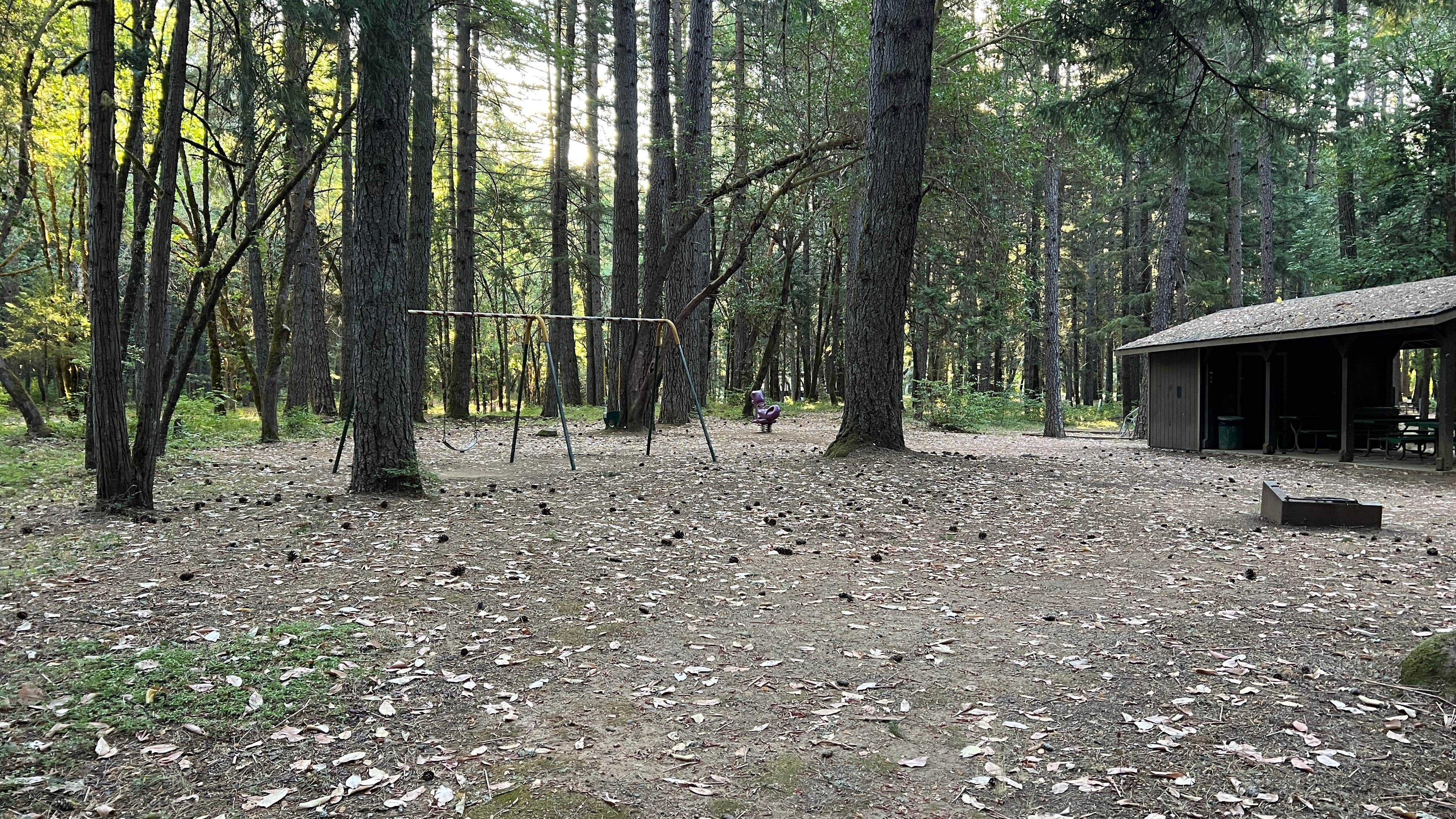 Camper-submitted photo at Wolf Creek Park near Wolf Creek, OR