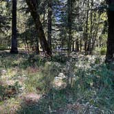 Review photo of Wyeth Campground at the Gorge by mitzi M., July 29, 2026