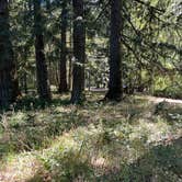 Review photo of Wyeth Campground at the Gorge by mitzi M., July 29, 2026