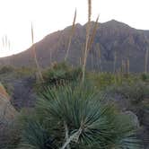 Review photo of Organ Mountains Campground by Damian R., September 16, 2024