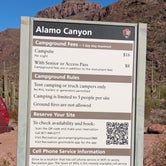 Review photo of Alamo Canyon Primitive Campground — Organ Pipe Cactus National Monument by Greg L., December 6, 2023