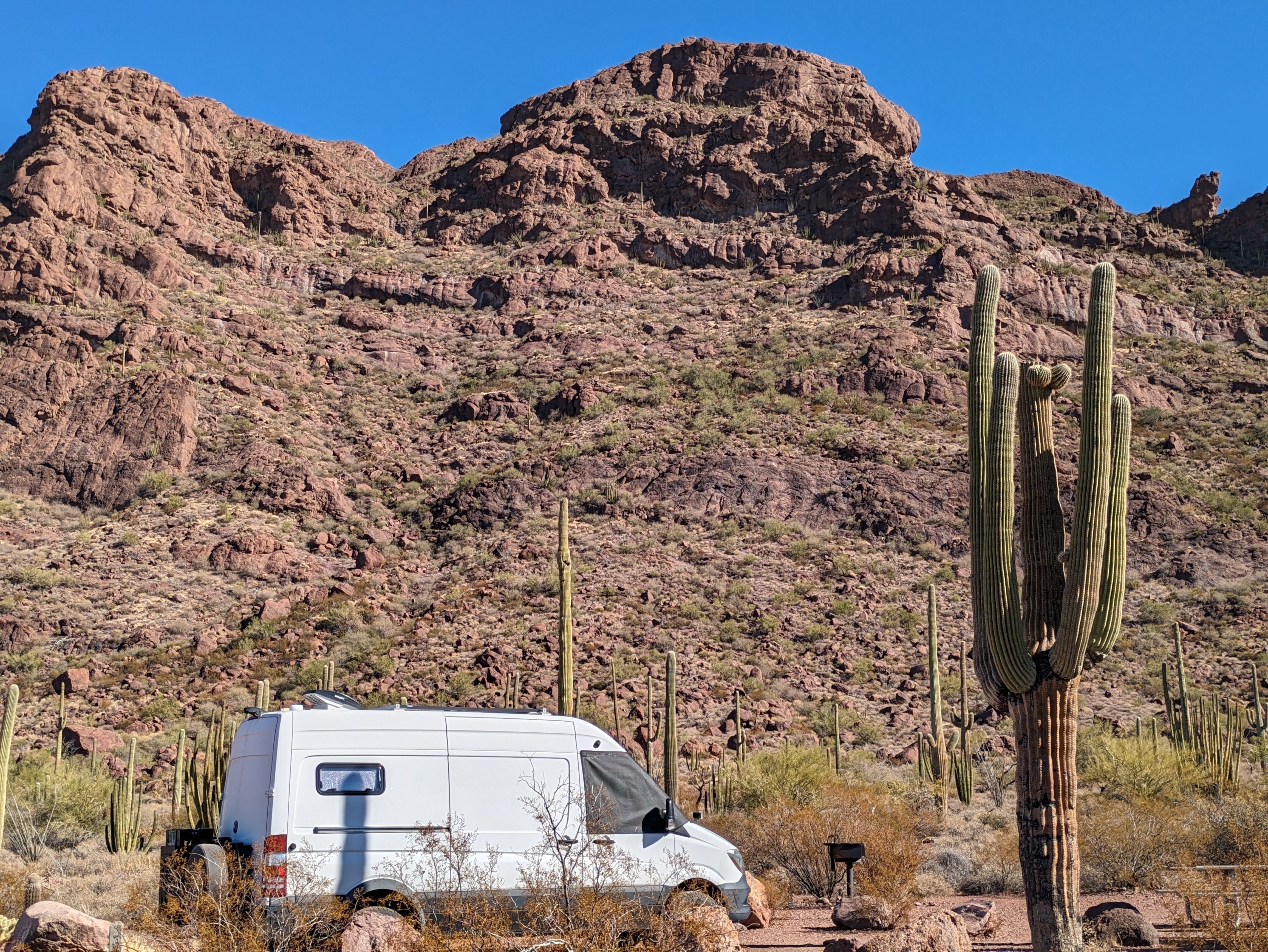 Camper submitted image from Alamo Canyon Primitive Campground — Organ Pipe Cactus National Monument - 3