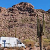 Review photo of Alamo Canyon Primitive Campground — Organ Pipe Cactus National Monument by Greg L., December 6, 2023