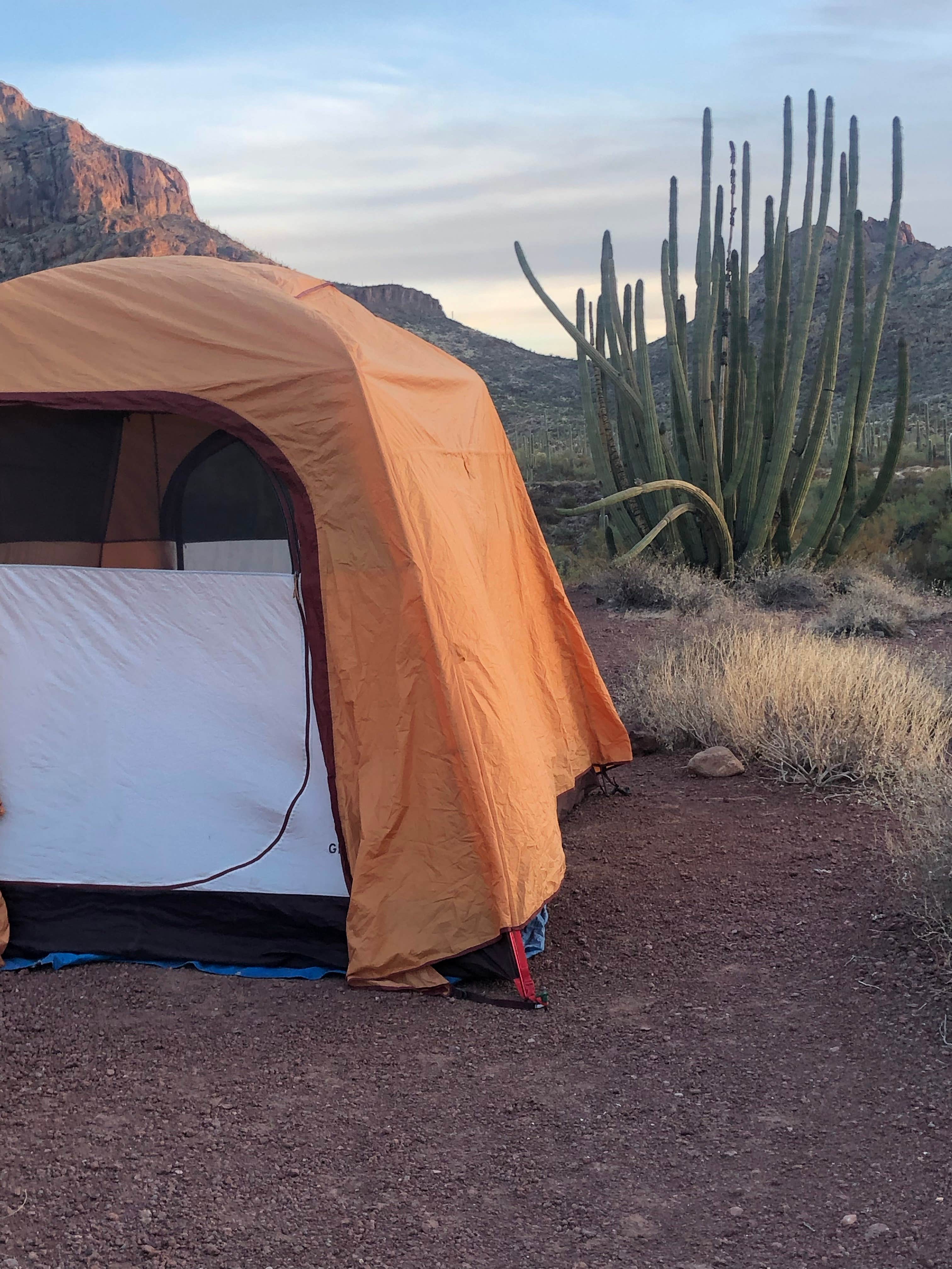 Rachel P.'s photo at Alamo Canyon Primitive Campground — Organ Pipe Cactus National Monument near Organ Pipe Cactus National Monument