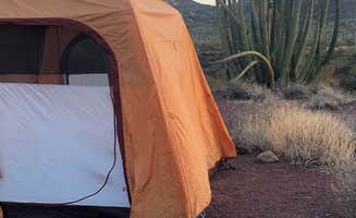 Rachel P.'s photo at Alamo Canyon Primitive Campground — Organ Pipe Cactus National Monument near Lukeville, AZ