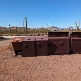 Review photo of Alamo Canyon Primitive Campground — Organ Pipe Cactus National Monument by Greg L., December 6, 2023