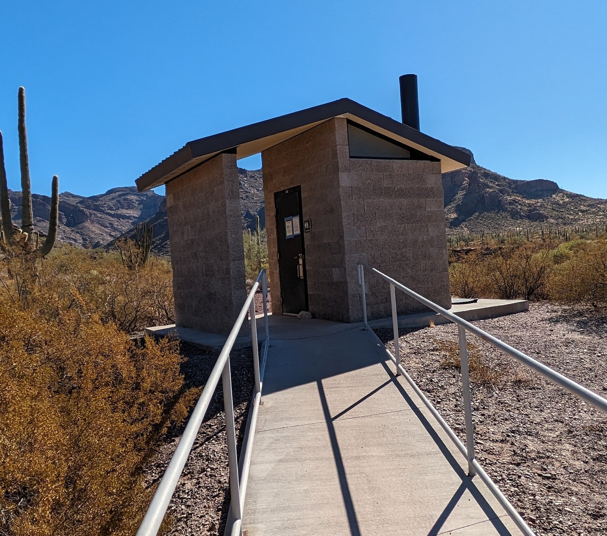 Camper submitted image from Alamo Canyon Primitive Campground — Organ Pipe Cactus National Monument - 4