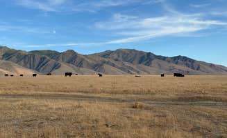 Stephen N.'s photo of camping with pets at Orovada Dispersed near Winnemucca, NV