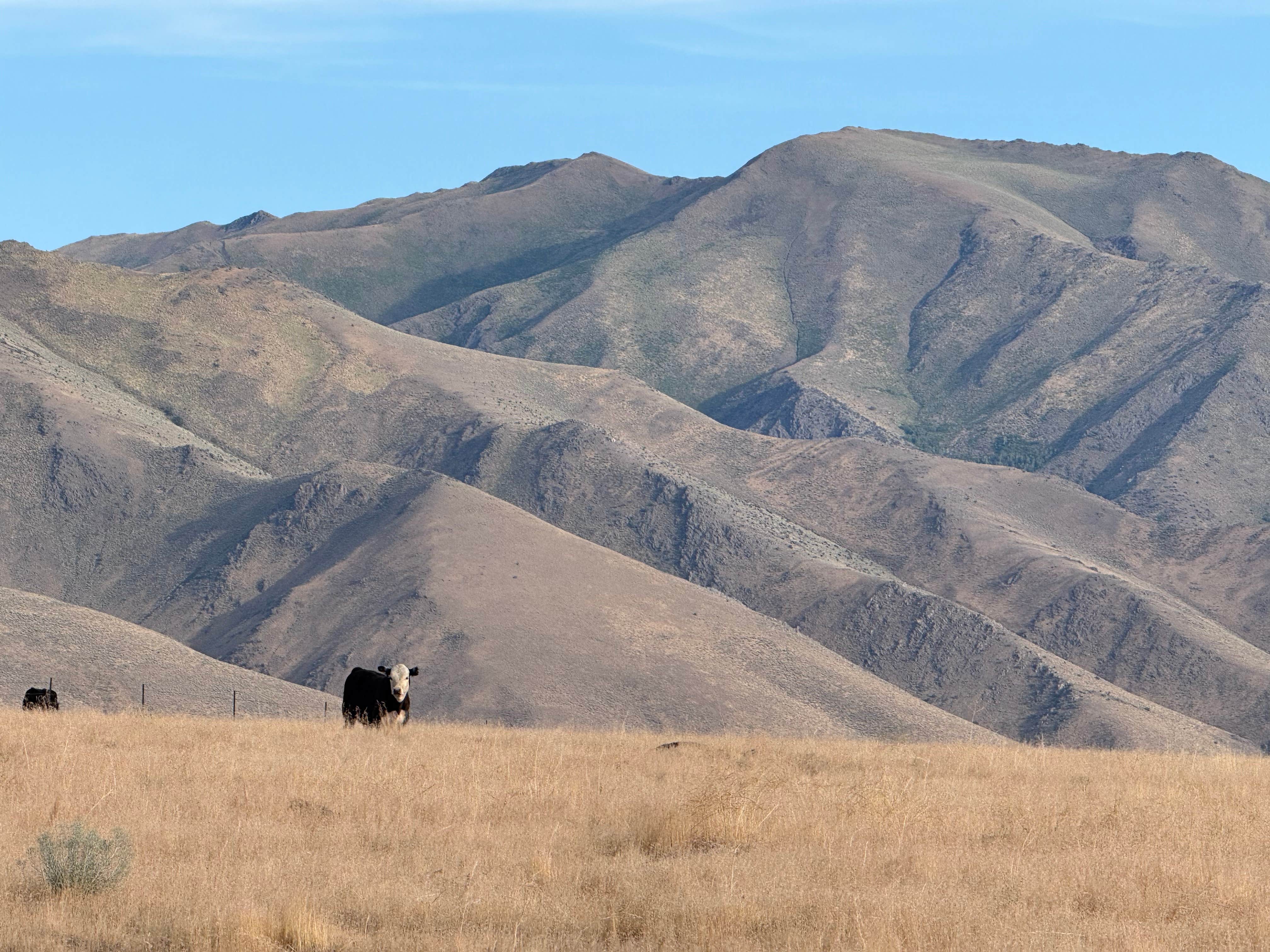 Camper-submitted photo at Orovada Dispersed near Paradise Valley, NV