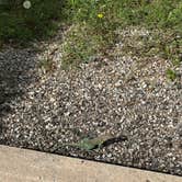 Review photo of Osage Cove - Kaw Lake by Therese , April 30, 2026
