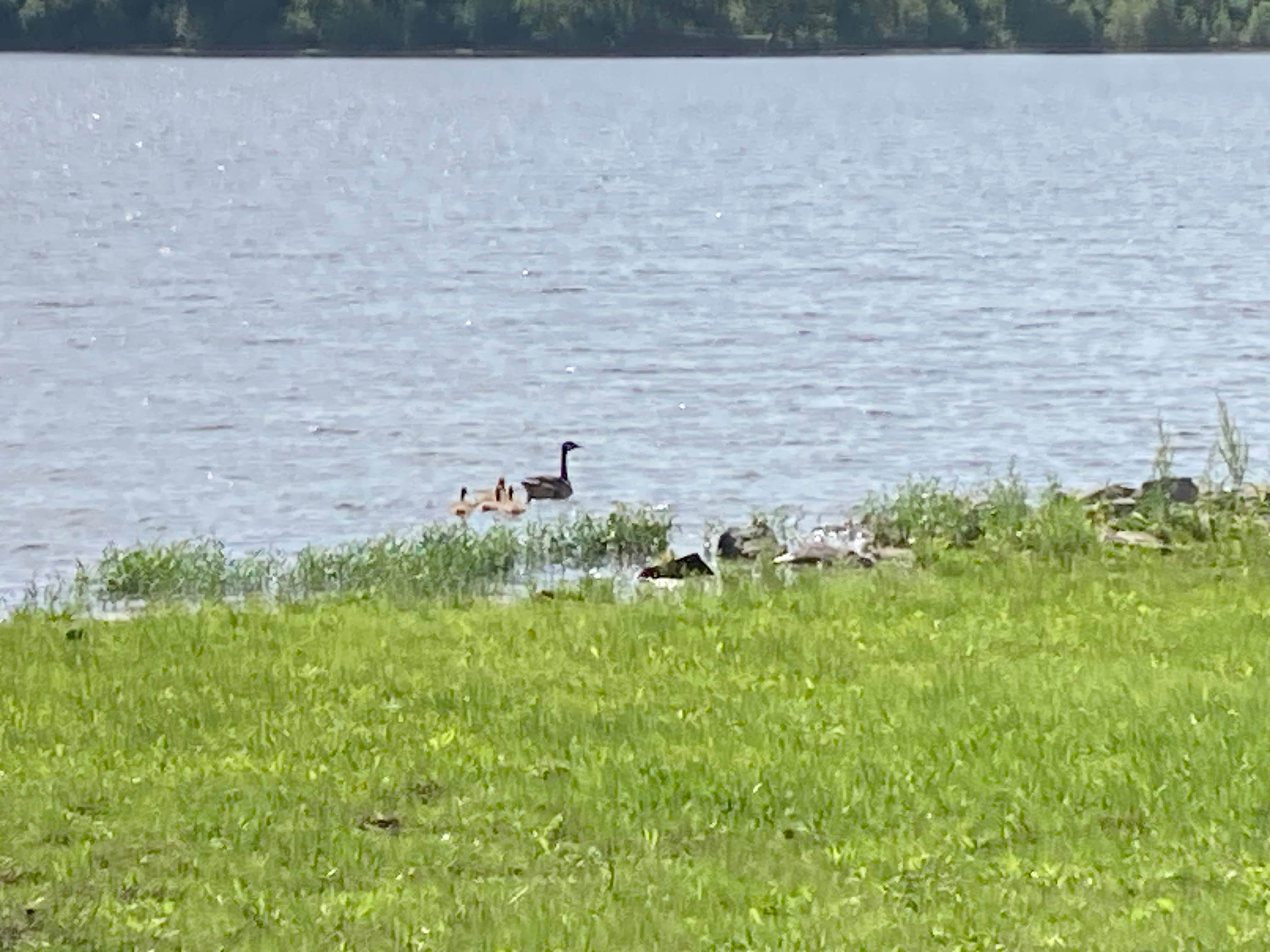 Camper submitted image from Osage State Fishing Lake - 2