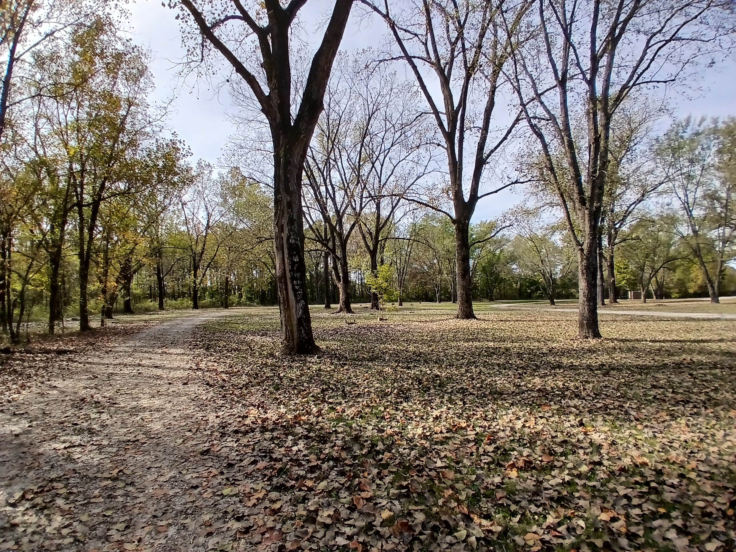 Camper-submitted photo at Osage-Tavern Access near Lohman, MO