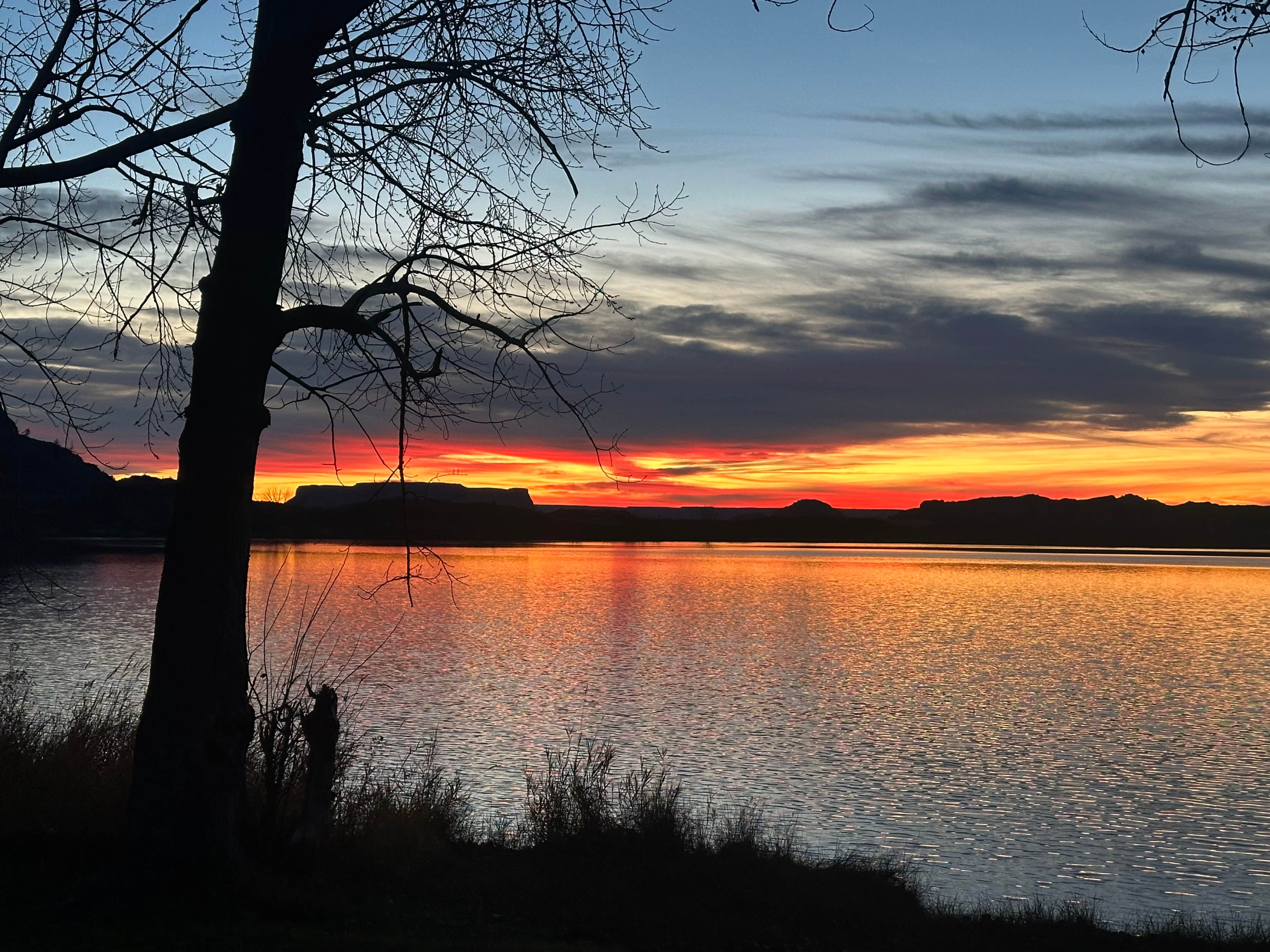 Camper-submitted photo at Osbourne Bay Public Access near Davenport, WA