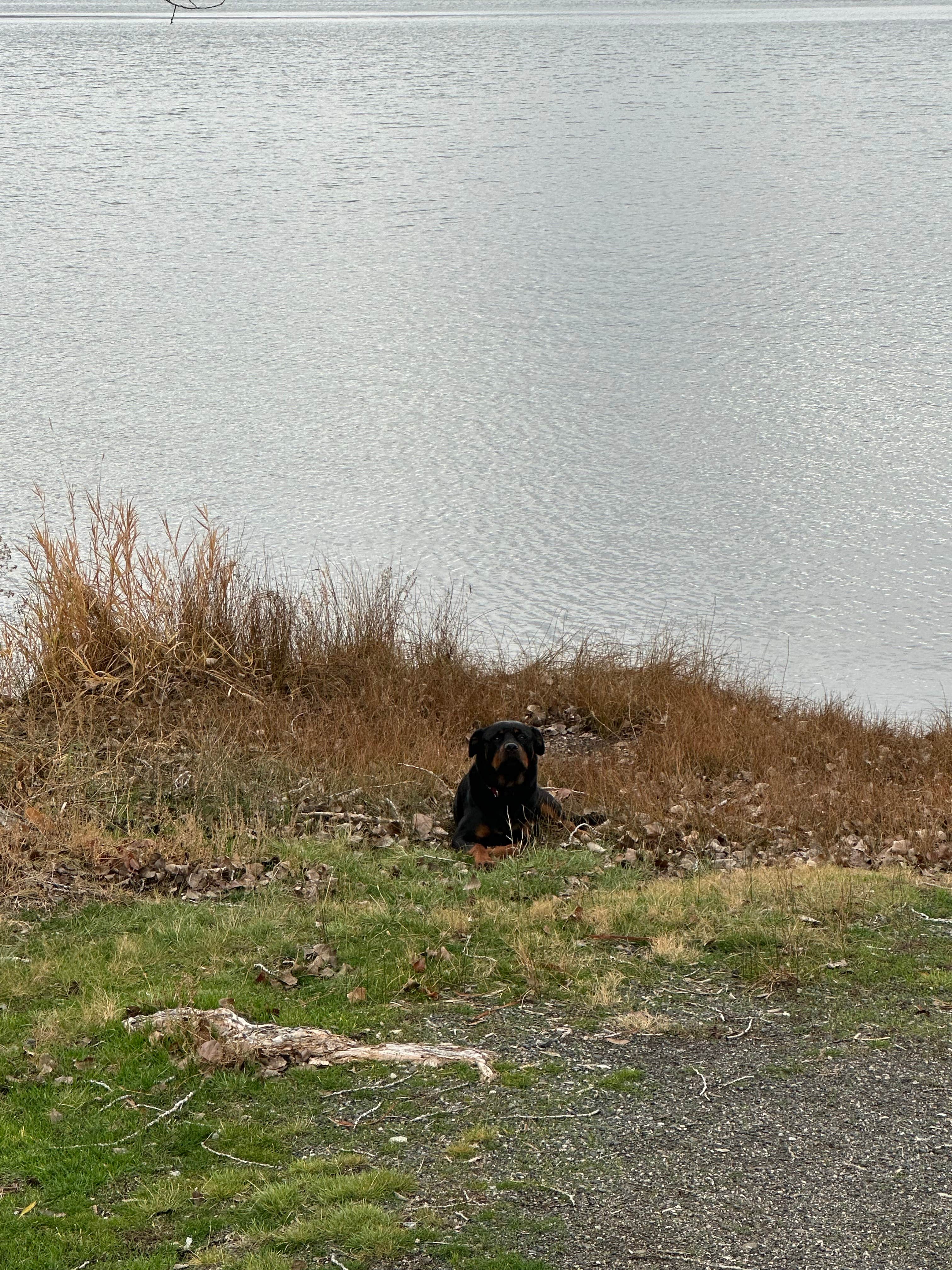 Camper-submitted photo at Osbourne Bay Public Access near Davenport, WA