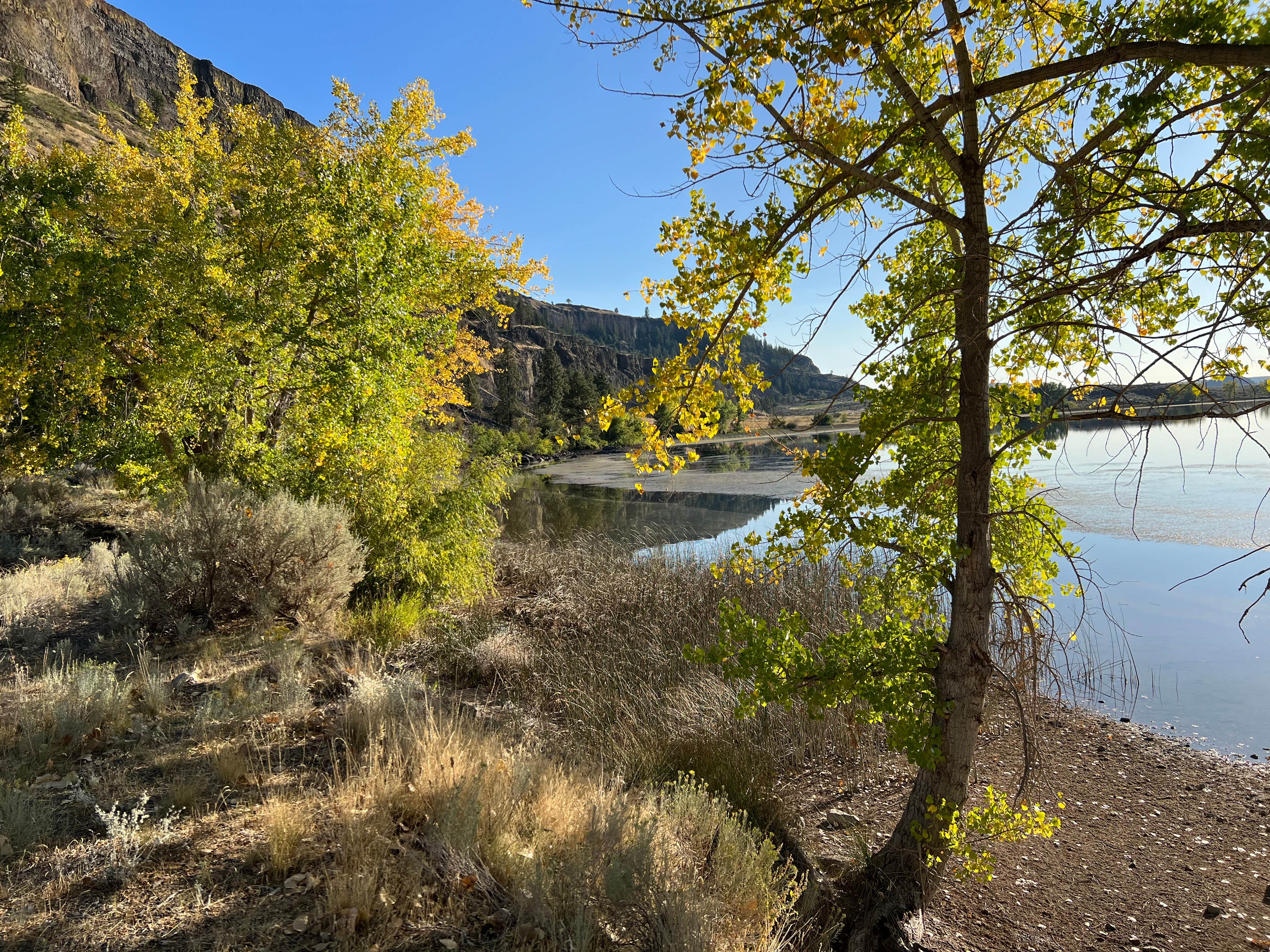 Camper-submitted photo at Osbourne Bay Campground — Steamboat Rock State Park near Coulee Dam, WA