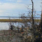 Review photo of Osceola National Forest Ocean Pond Campground by Greg , December 2, 2025