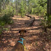 Review photo of Osceola National Forest Ocean Pond Campground by Samantha M., April 19, 2026