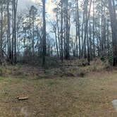 Review photo of Osceola National Forest Ocean Pond Campground by Wendy L., January 27, 2026