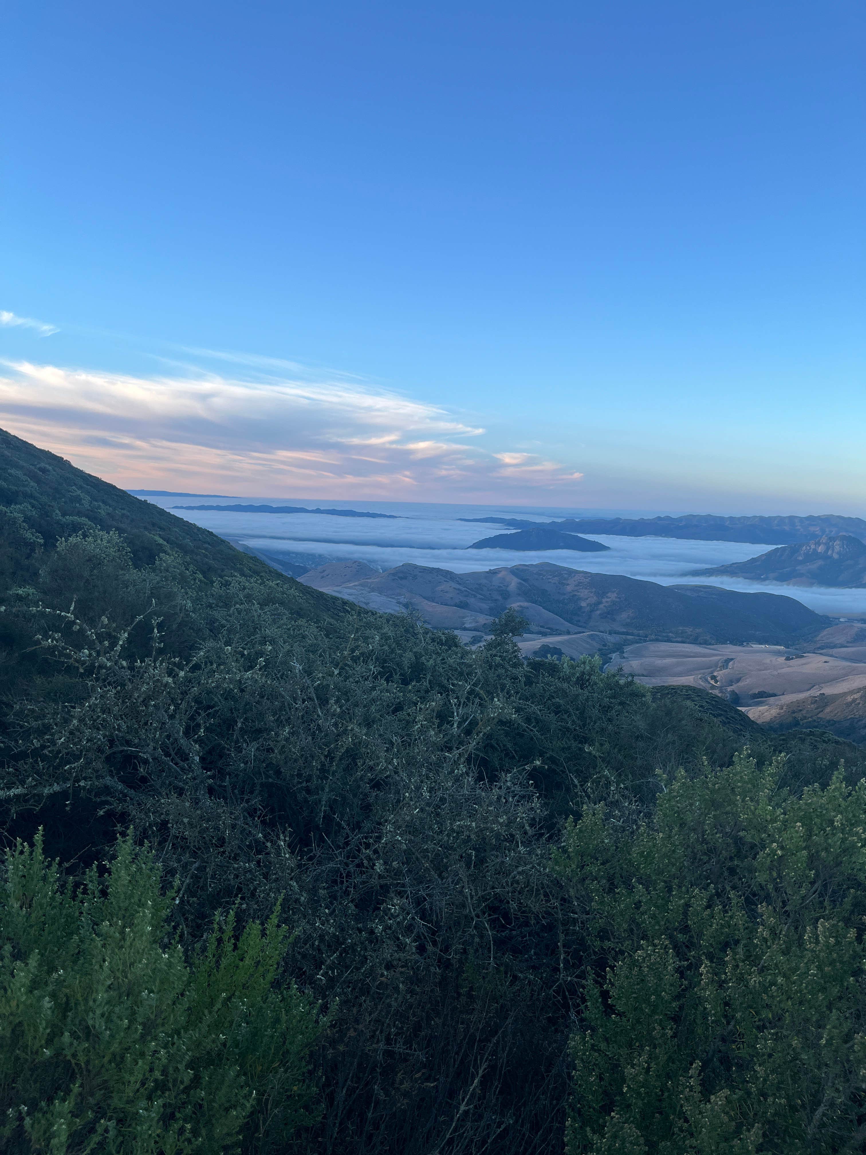 Camper-submitted photo at Other Pullout on TV Tower Road - Dispersed Site near Carrizo Plain National Monument