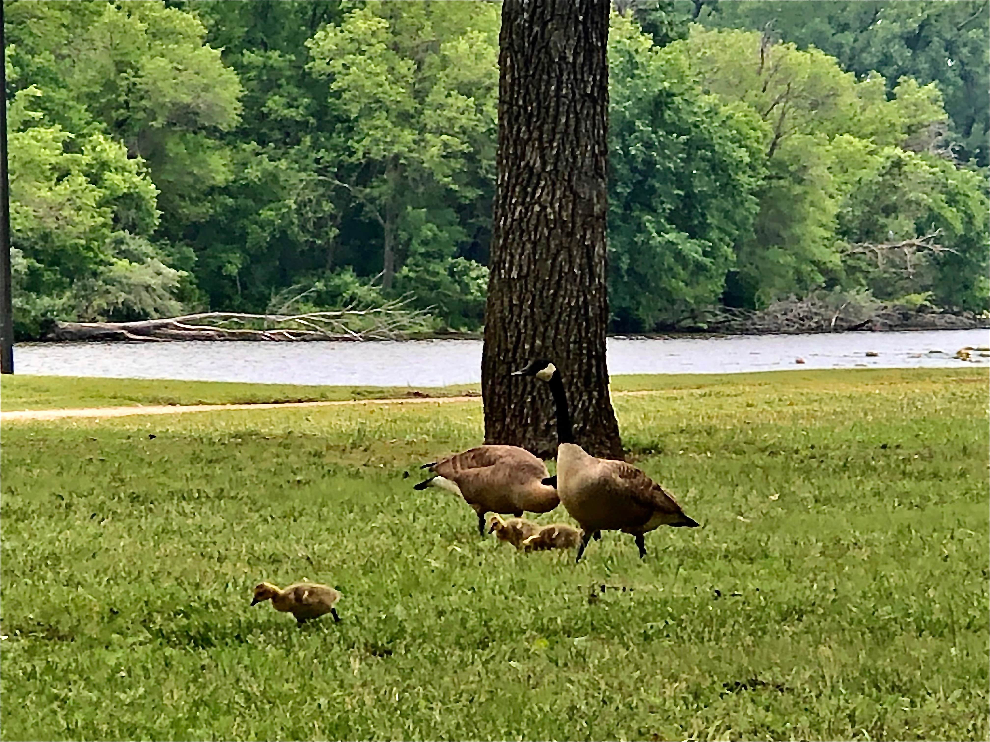Camper-submitted photo at Ottawa SFL near Minneapolis, KS