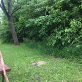 Review photo of Ottawa SFL by david S., June 5, 2025