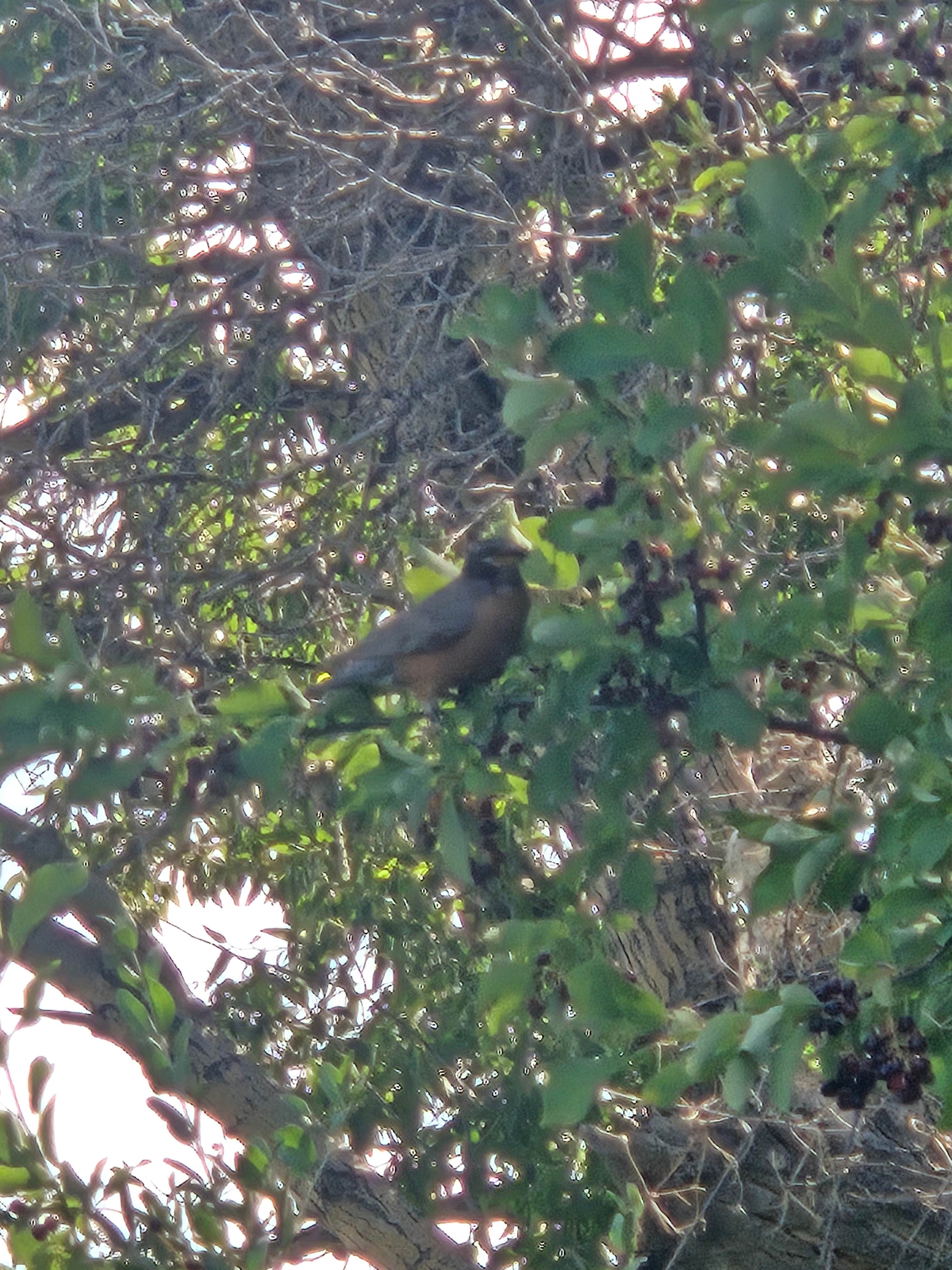 Camper-submitted photo at Otter Creek Fishing Access near Big Timber, MT