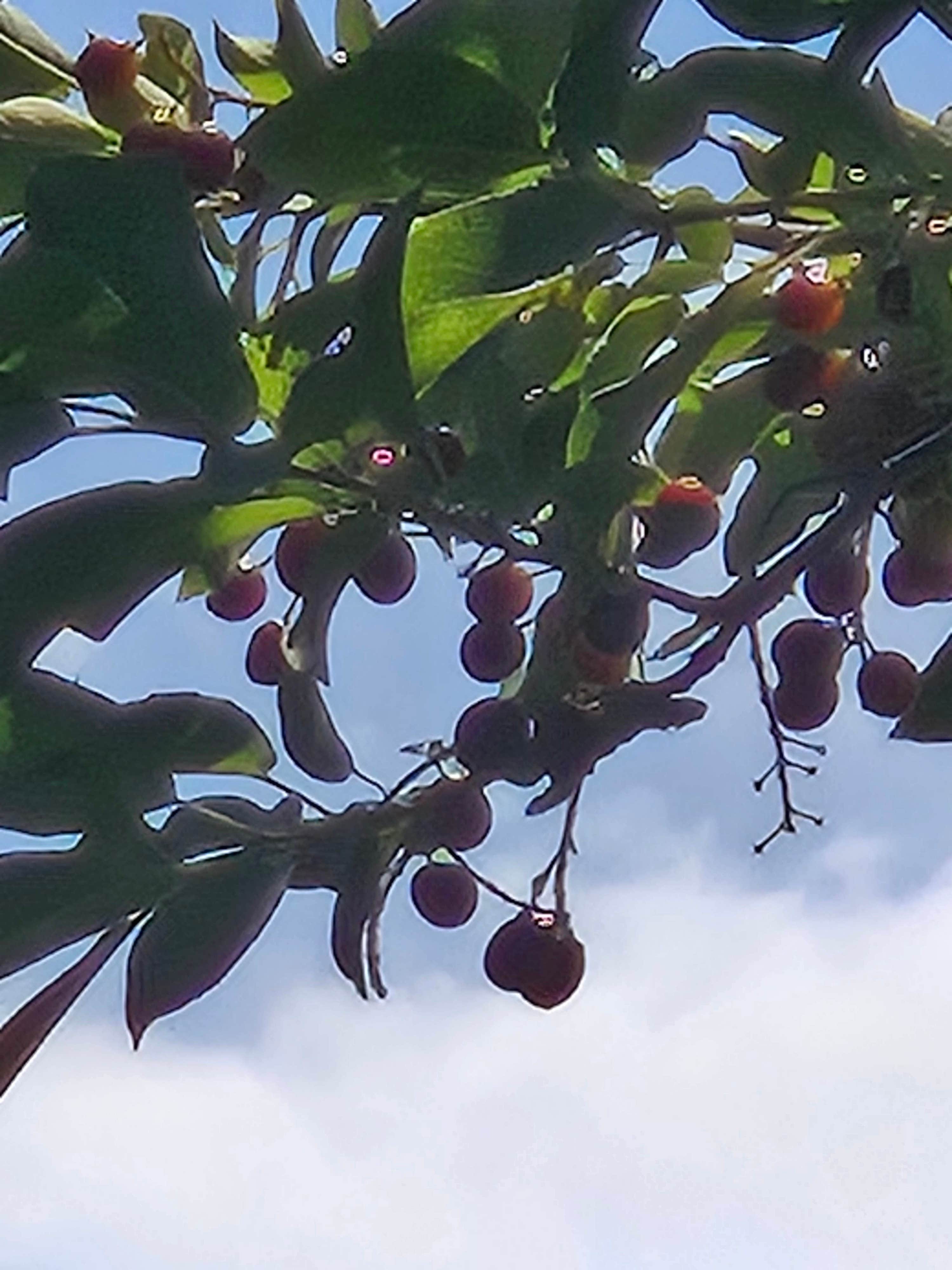 Camper-submitted photo at Otter Creek Fishing Access near Melville, MT