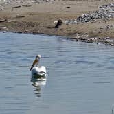 Review photo of Otter Creek Fishing Access by Steve M., July 29, 2025